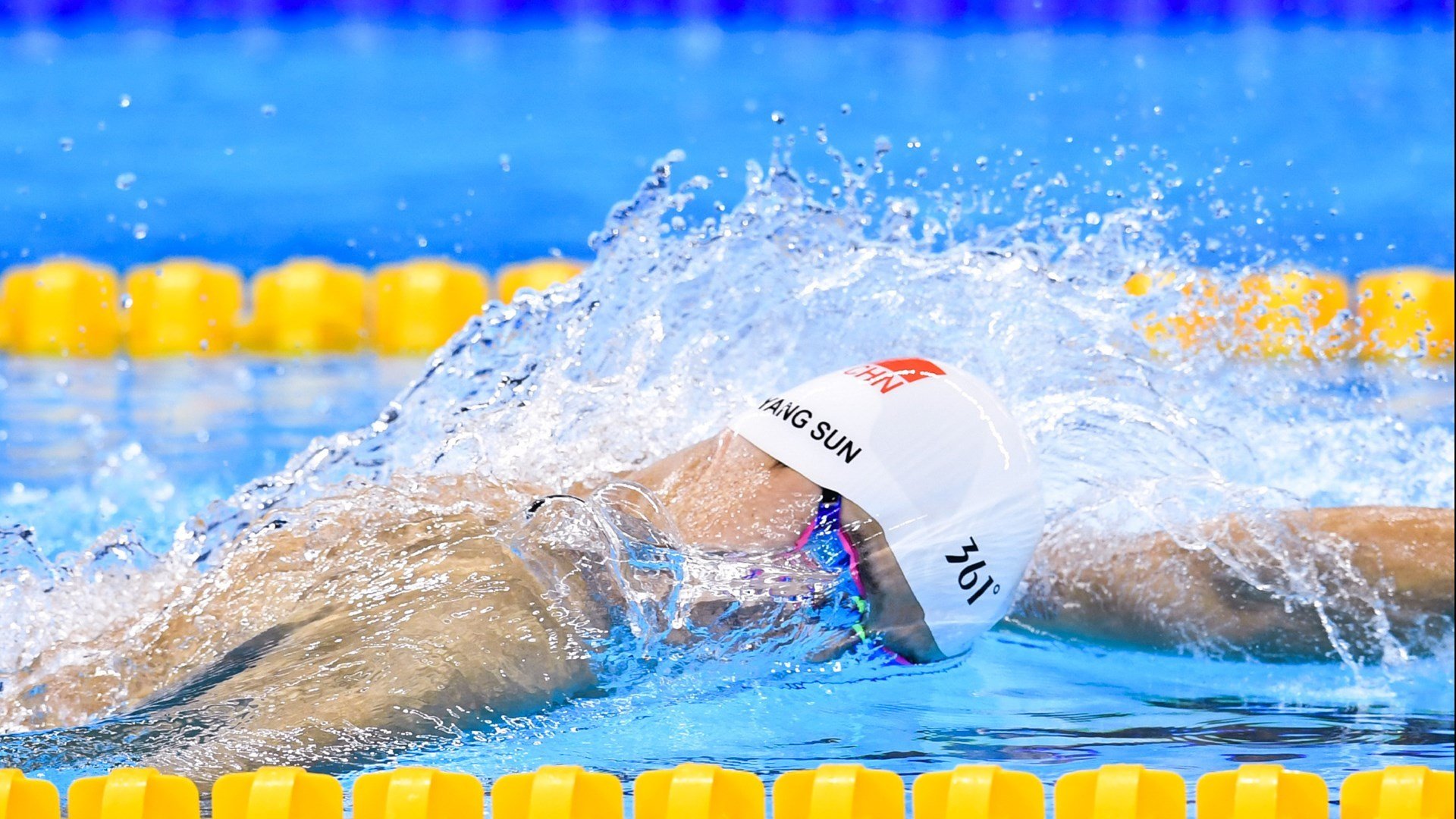 开云官方-体育社会组织能力建设大会成功举办，体育社会组织发展历程